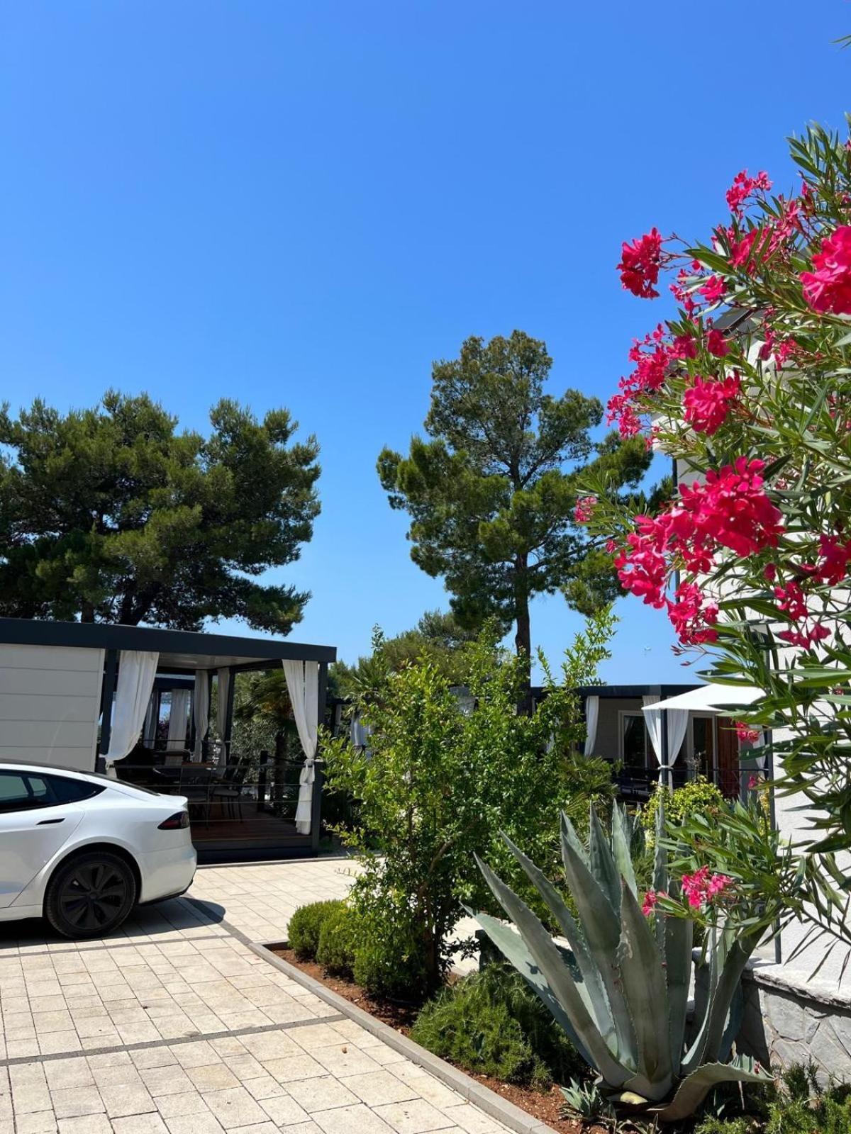 Dalmaris Camp - Prestige Mobile Homes Biograd Na Moru Exterior foto